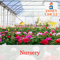 Nursery Mr. Debomoy in Jalpaiguri